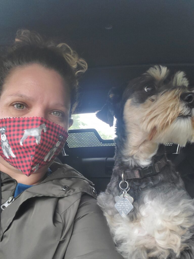 Miniature Schnauzer Rescue Of North Texas In Dallas County